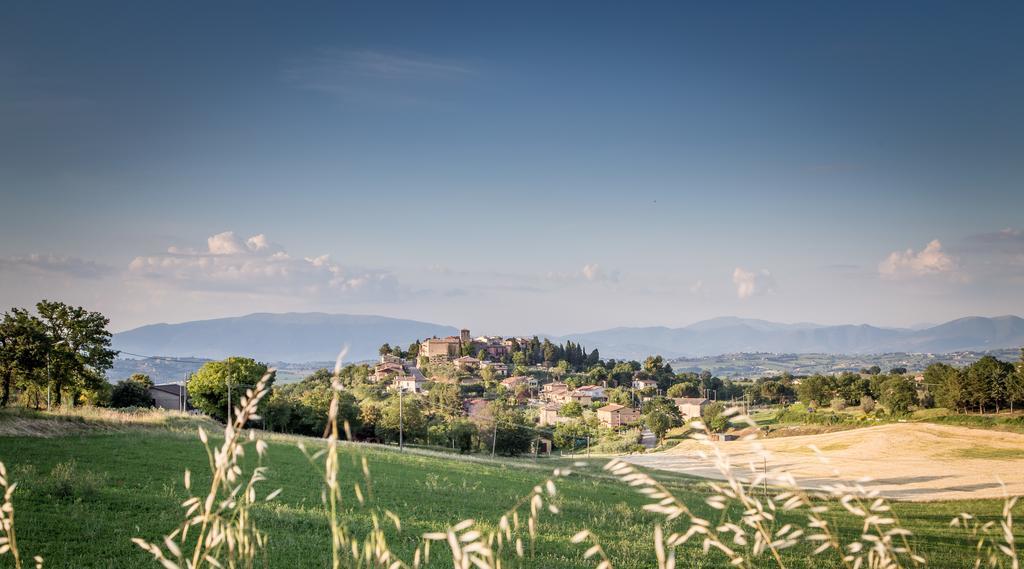 Bed and Breakfast Domus In Castro Montecchio  Exterior foto
